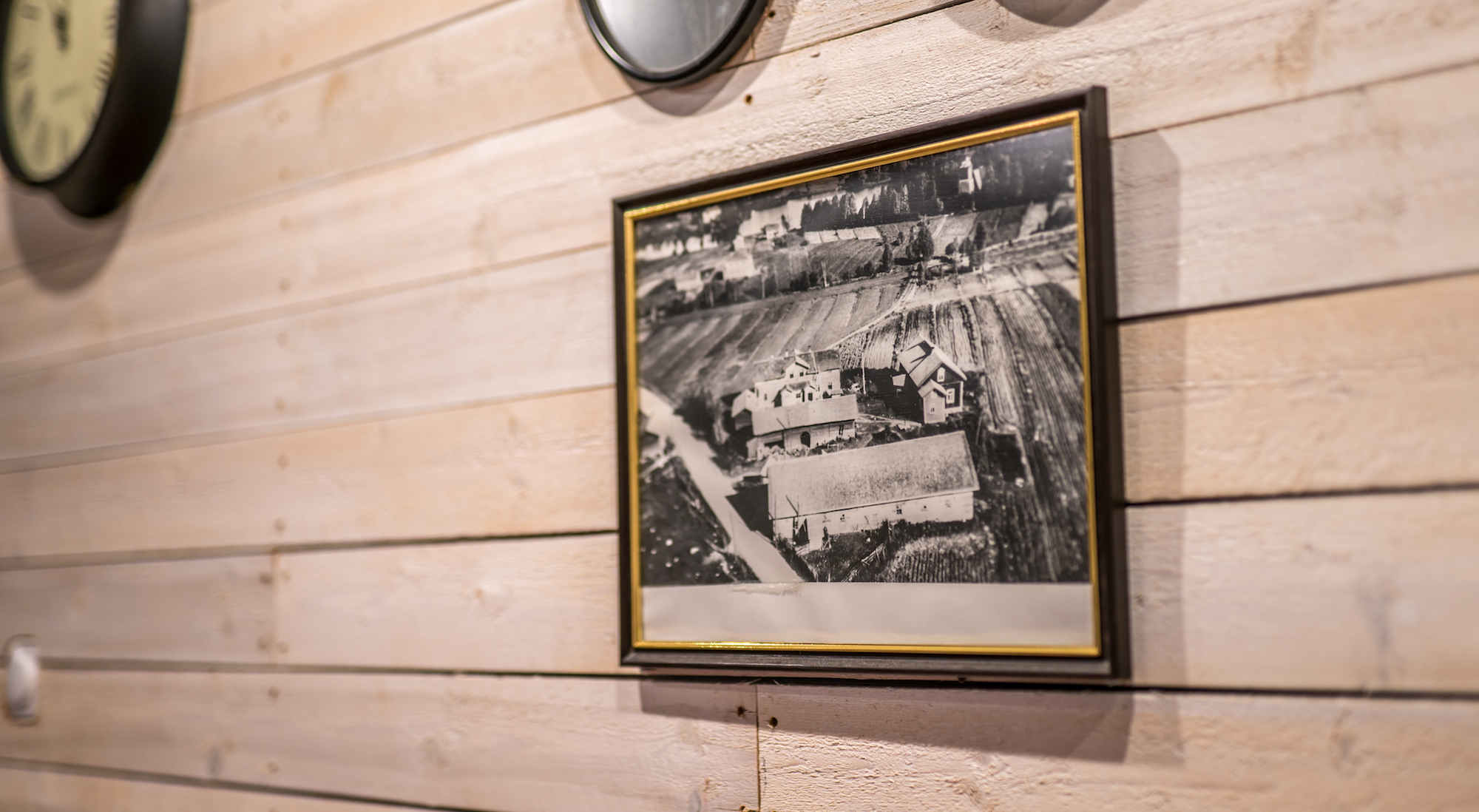 kokemuksia-rpp-lemettilantila1