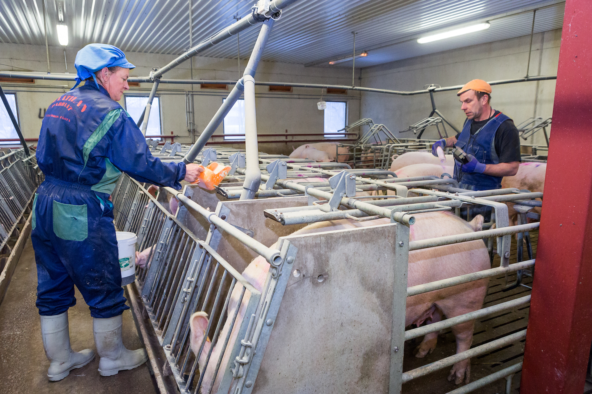 kokemuksia_eurotrading2