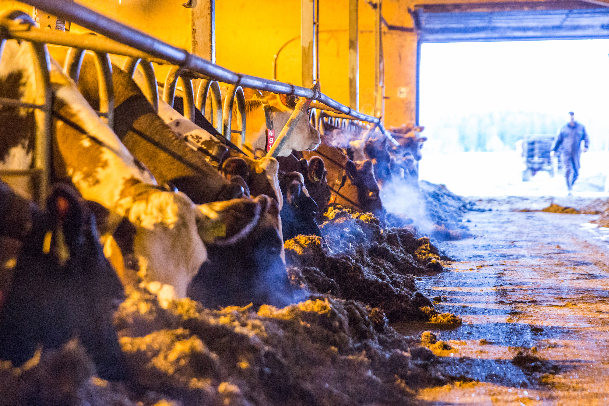 kokemuksia_eurotrading4